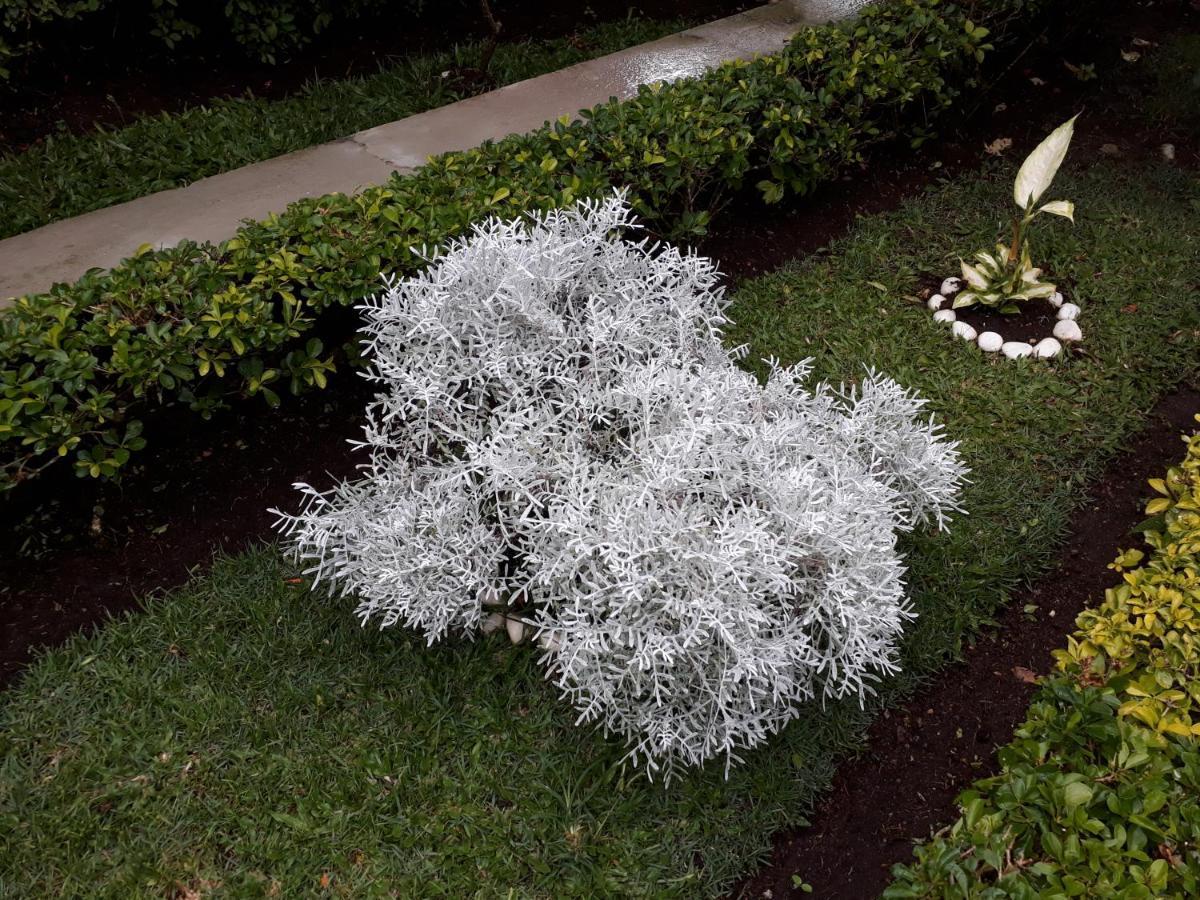Chalé aconchegante na Serra Pernambucana - Em condomínio - Gravatá Exterior foto